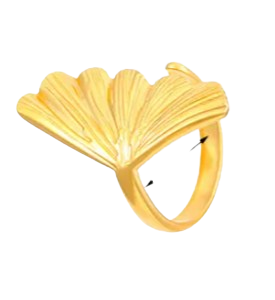 Anillo Celeste