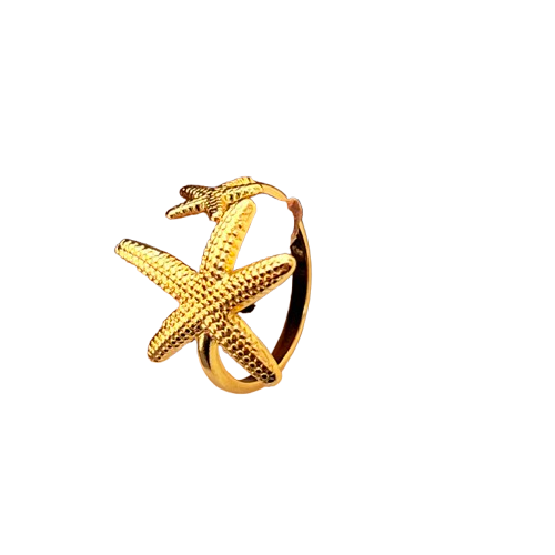 Anillo Alma