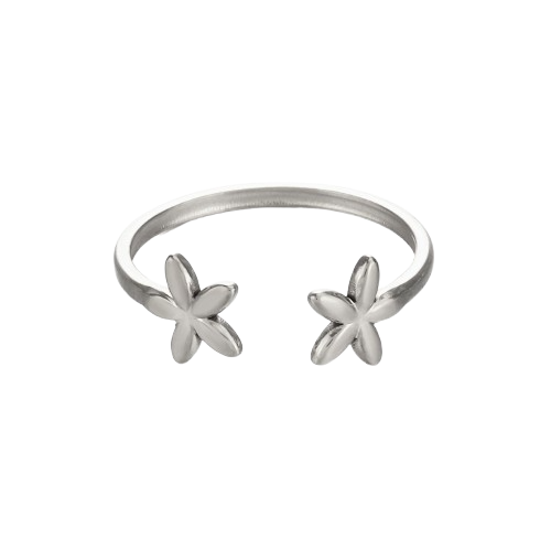 Anillo Elsa