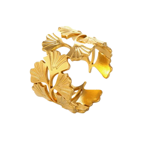 Anillo ajustable  "Argelia"