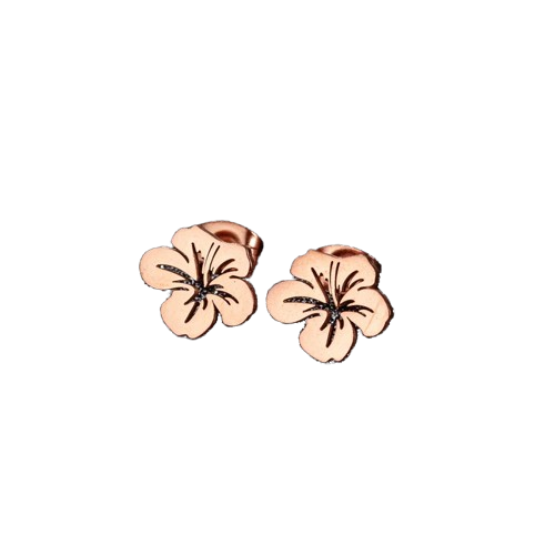 Aretes "Hawaii"